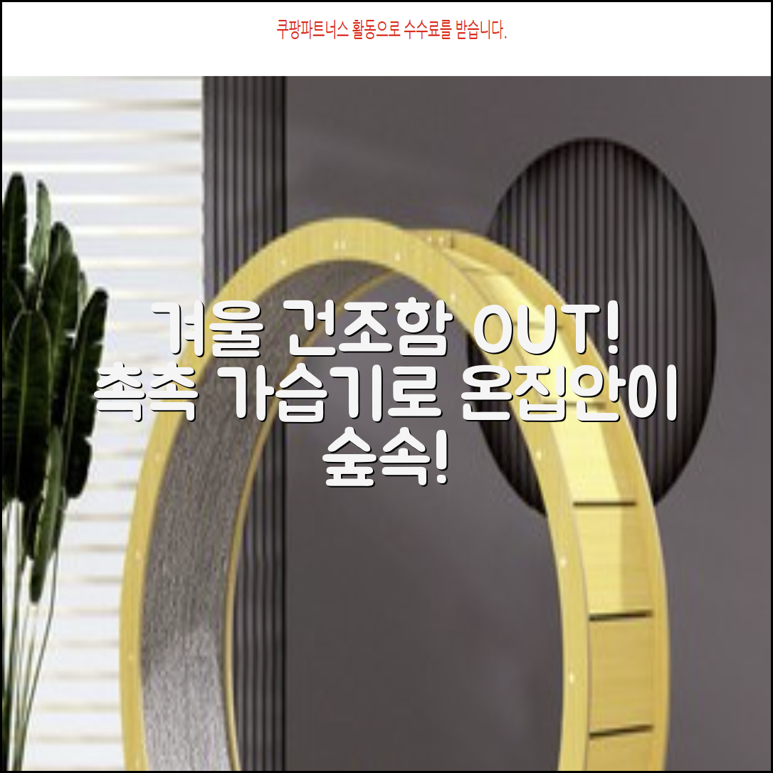 가습기, 건조한 겨울 촉촉하게!