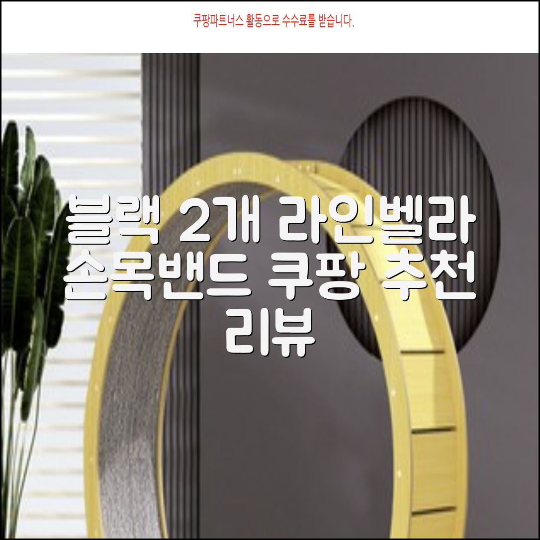 라인벨라 의료용 손목 압박용 밴드 블랙, 2개 추천 리뷰