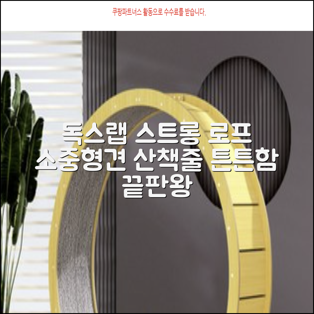 독스랩 1.5m 2m 3m 5m 스트롱 로프 소형견 중형견 대형견 줄 강아지 리드줄 산책줄, 블랙, 1개 추천 리뷰