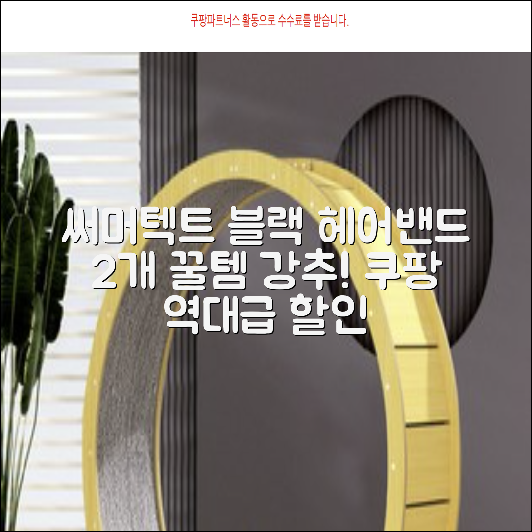 써머텍트 기능성 헤어밴드, 블랙, 2개 추천 리뷰