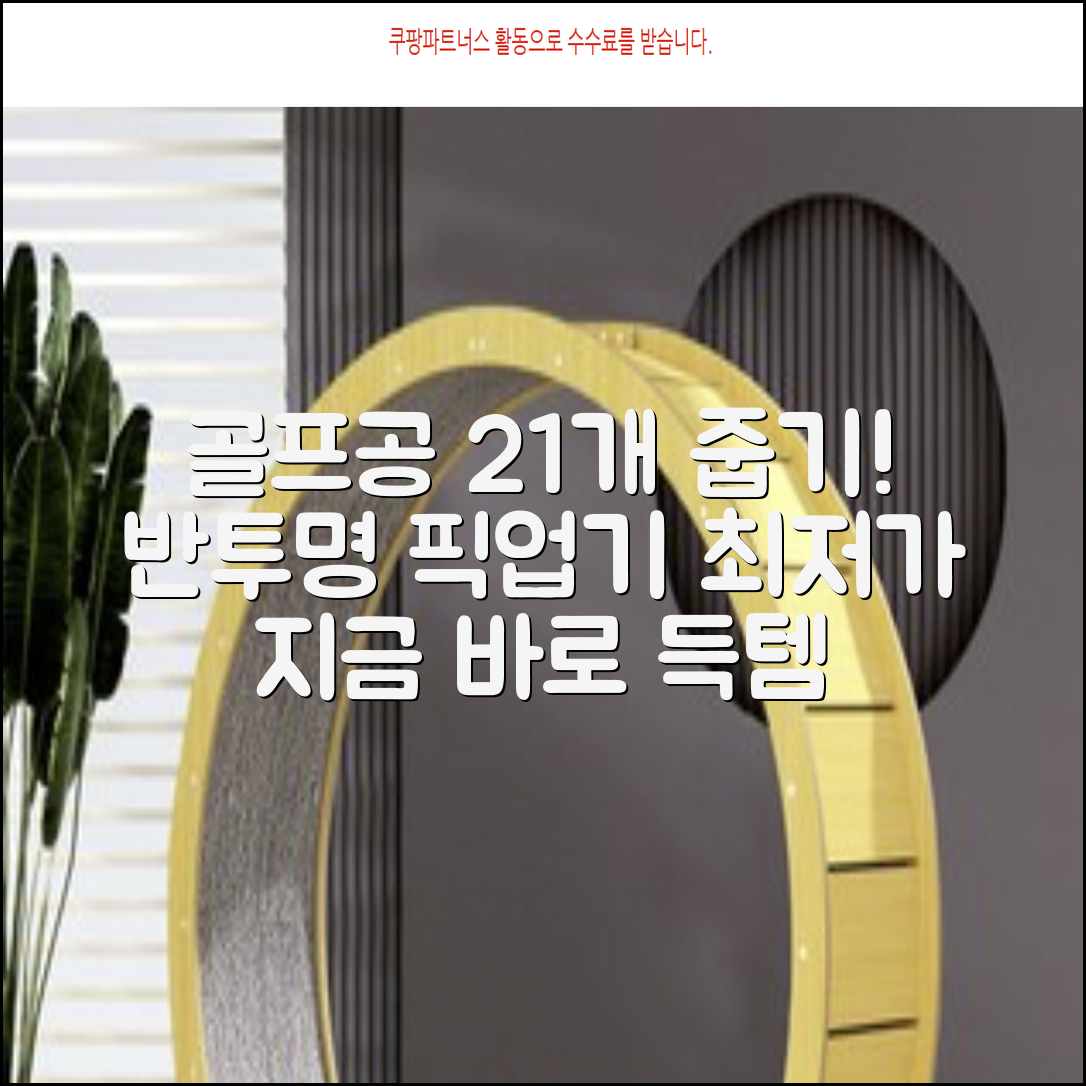 골프공 픽업기 줍기 회수기 수집기 수거기 공21개, 반투명, 1개 추천 리뷰