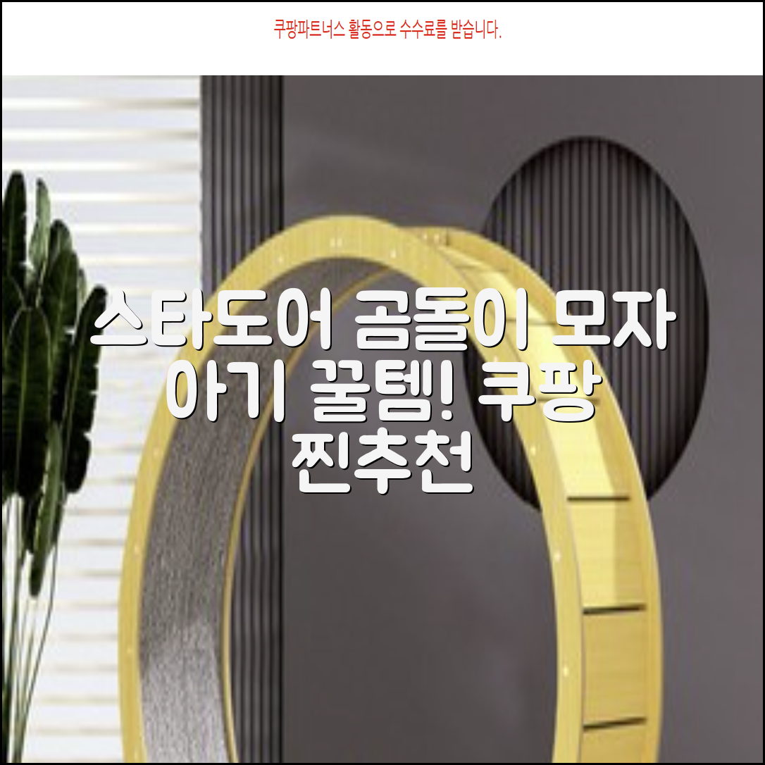 스타도어 유아용 곰돌이 모자 추천 리뷰