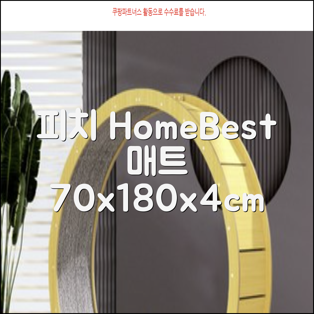 홈베스트 트레이닝 매트 70x180x4cm, 러블리_피치 추천 리뷰
