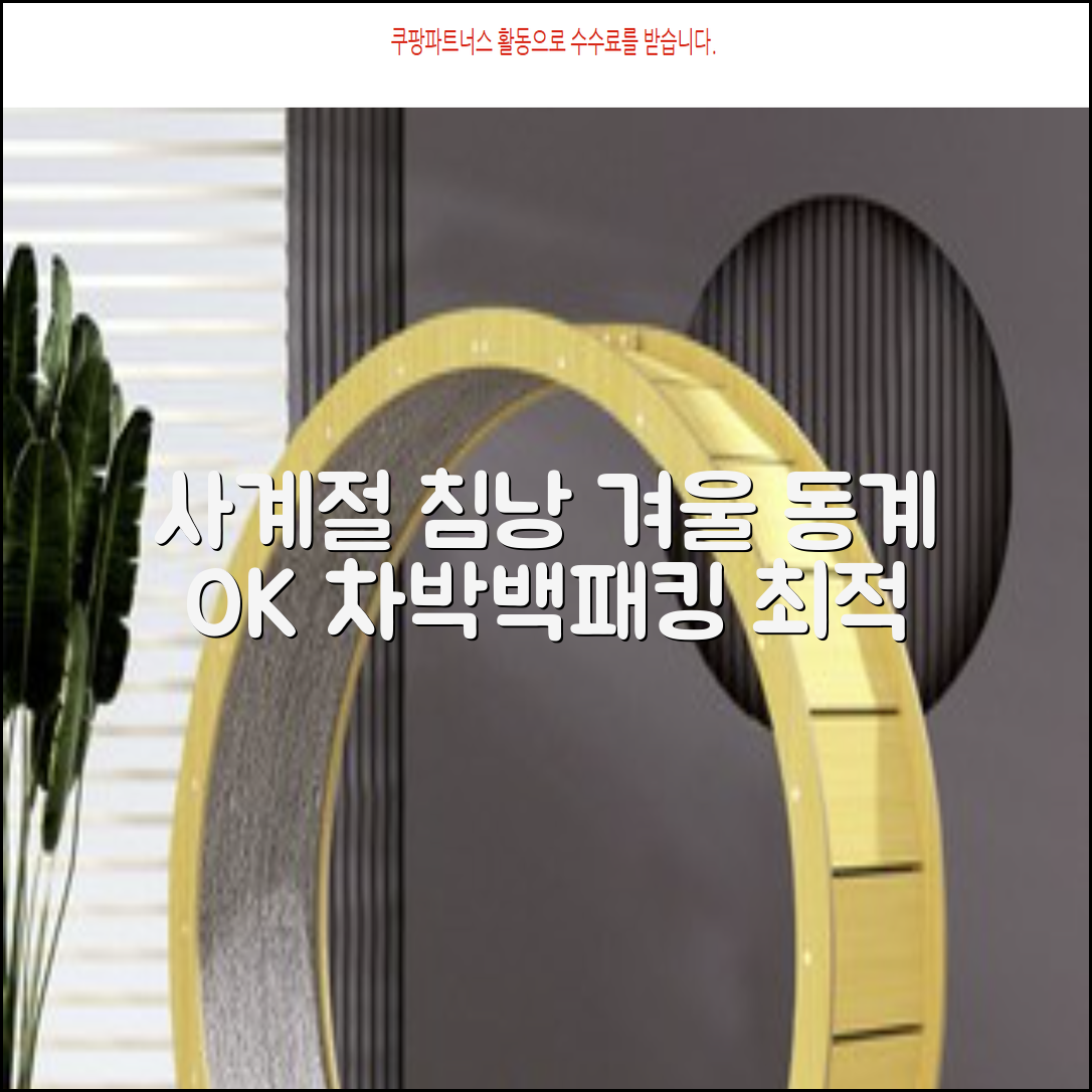 캠핑 침낭 사계절 동계 겨울 백패킹 베이스 슬리핑백 차박 이불, 1개, 블랙 추천 리뷰