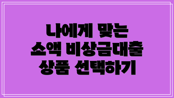 나에게 맞는 소액 비상금대출 상품 선택하기
