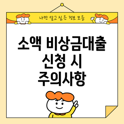 소액 비상금대출 신청 시 주의사항