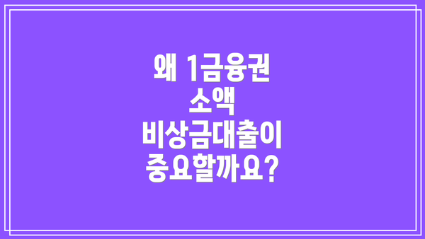 왜 1금융권 소액 비상금대출이 중요할까요?