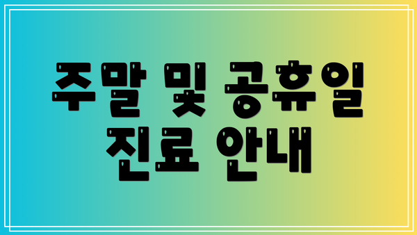 주말 및 공휴일 진료 안내