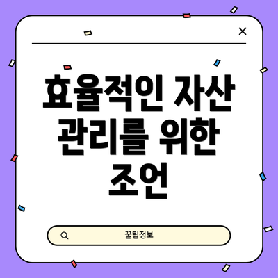 효율적인 자산 관리를 위한 조언