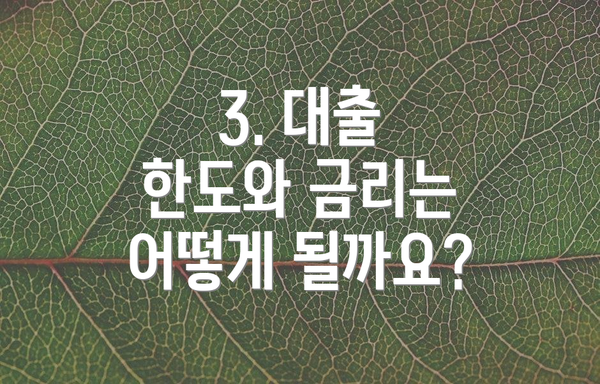 3. 대출 한도와 금리는 어떻게 될까요?