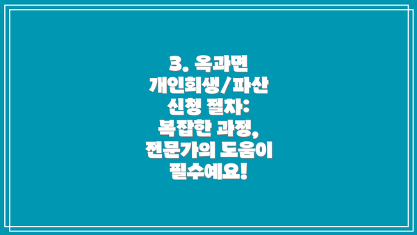 3. 옥과면 개인회생/파산 신청 절차: 복잡한 과정, 전문가의 도움이 필수예요!