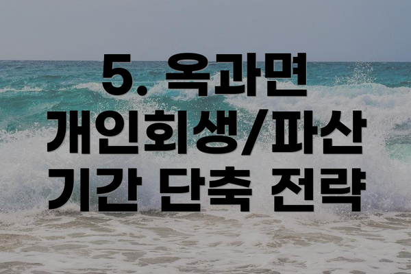 5. 옥과면 개인회생/파산 기간 단축 전략