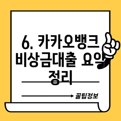 6. 카카오뱅크 비상금대출 요약 정리