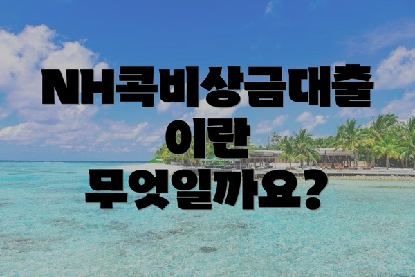 NH콕비상금대출이란 무엇일까요?