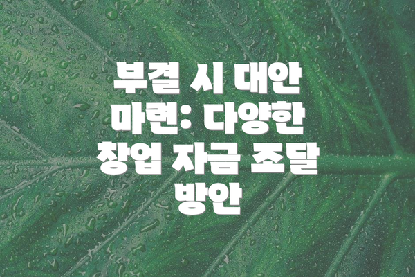 부결 시 대안 마련: 다양한 창업 자금 조달 방안