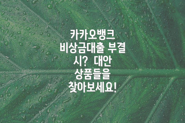카카오뱅크 비상금대출 부결 시?  대안 상품들을 찾아보세요!