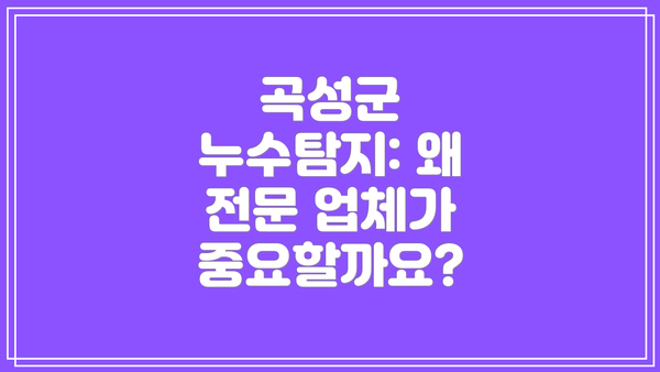 곡성군 누수탐지: 왜 전문 업체가 중요할까요?