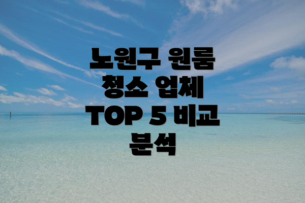 노원구 원룸 청소 업체 TOP 5 비교 분석