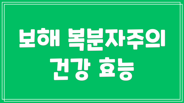보해 복분자주의 건강 효능