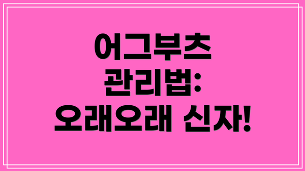 어그부츠 관리법: 오래오래 신자!
