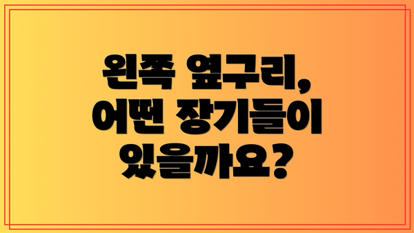 왼쪽 옆구리, 어떤 장기들이 있을까요?