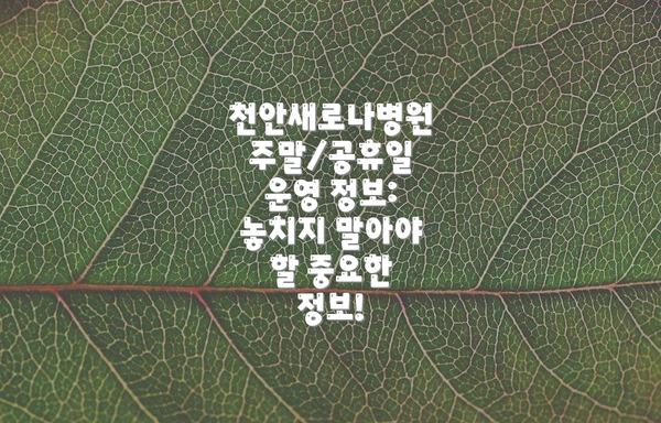 천안새로나병원 주말/공휴일 운영 정보: 놓치지 말아야 할 중요한 정보!