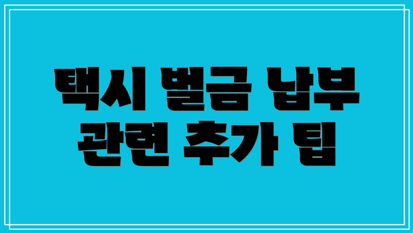 택시 벌금 납부 관련 추가 팁