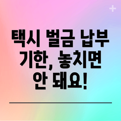 택시 벌금 납부 기한, 놓치면 안 돼요!