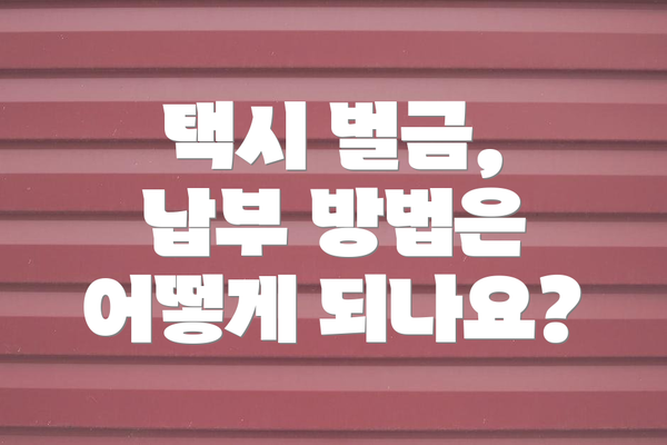 택시 벌금, 납부 방법은 어떻게 되나요?