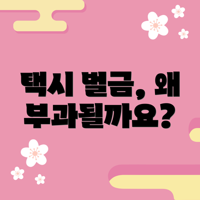택시 벌금, 왜 부과될까요?