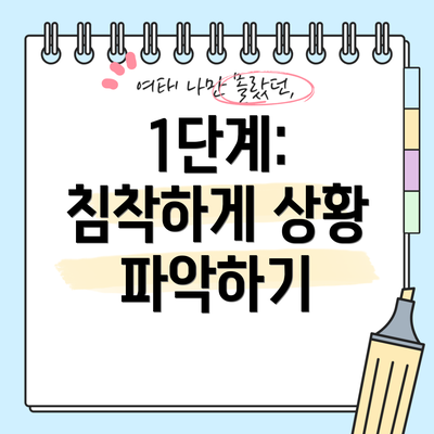 1단계: 침착하게 상황 파악하기