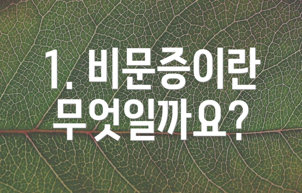 1. 비문증이란 무엇일까요?