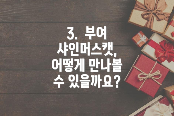 3.  부여 샤인머스캣, 어떻게 만나볼 수 있을까요?