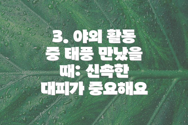 3. 야외 활동 중 태풍 만났을 때: 신속한 대피가 중요해요