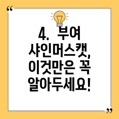 4.  부여 샤인머스캣, 이것만은 꼭 알아두세요!