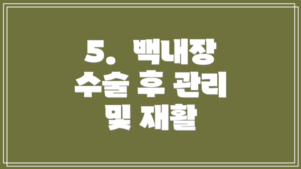 5.  백내장 수술 후 관리 및 재활