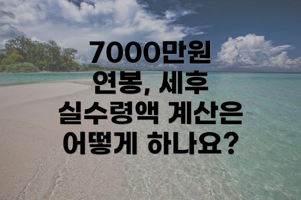 7000만원 연봉 세후 실수령액 예시 (표)