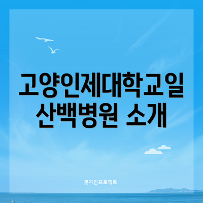고양인제대학교일산백병원 소개