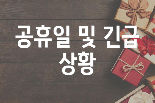 공휴일 및 긴급 상황