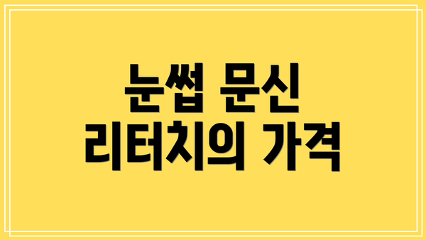 눈썹 문신 리터치의 가격