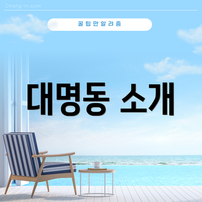 대명동 소개