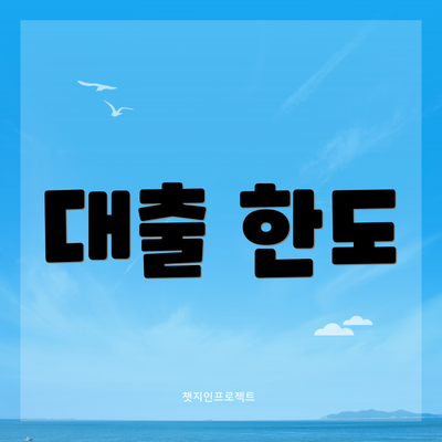 대출 한도