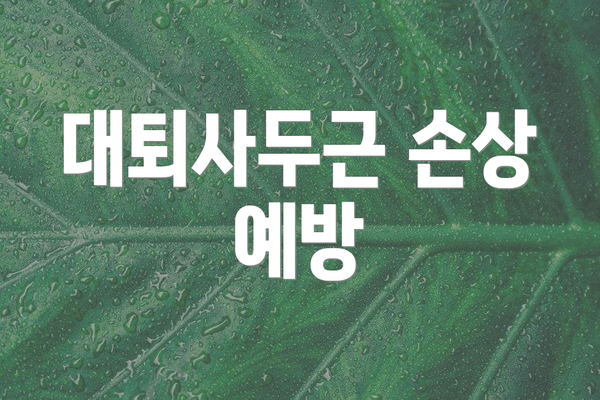 대퇴사두근 손상 예방