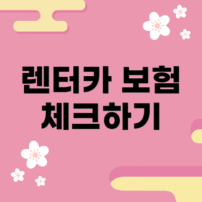 렌터카 보험 체크하기