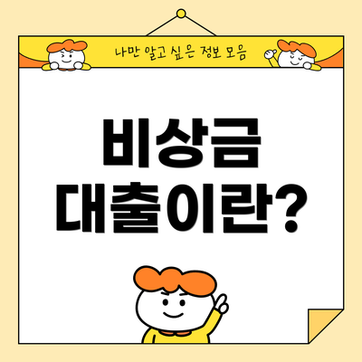 비상금 대출이란?