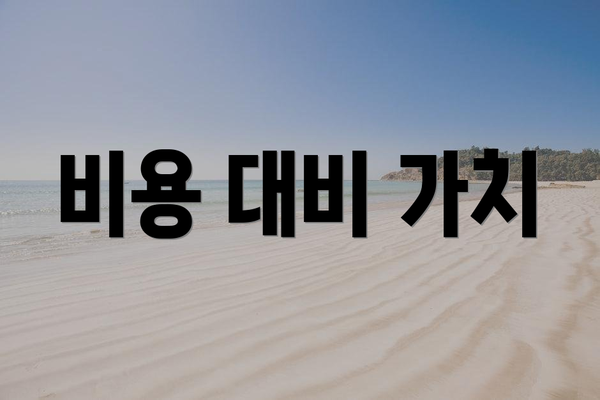 비용 대비 가치