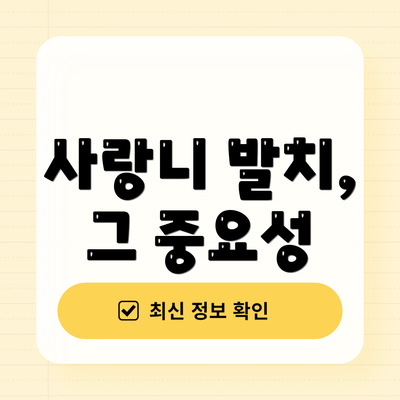 사랑니 발치, 그 중요성