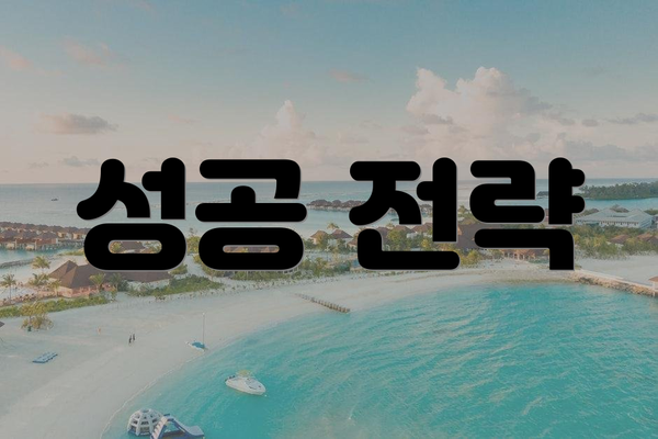 성공 전략