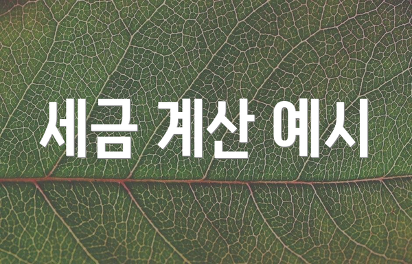 세금 계산 예시
