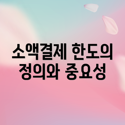 소액결제 한도의 정의와 중요성
